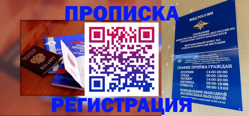 временная регистрация для школы в Тогучине